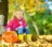 Pumpkin Season
