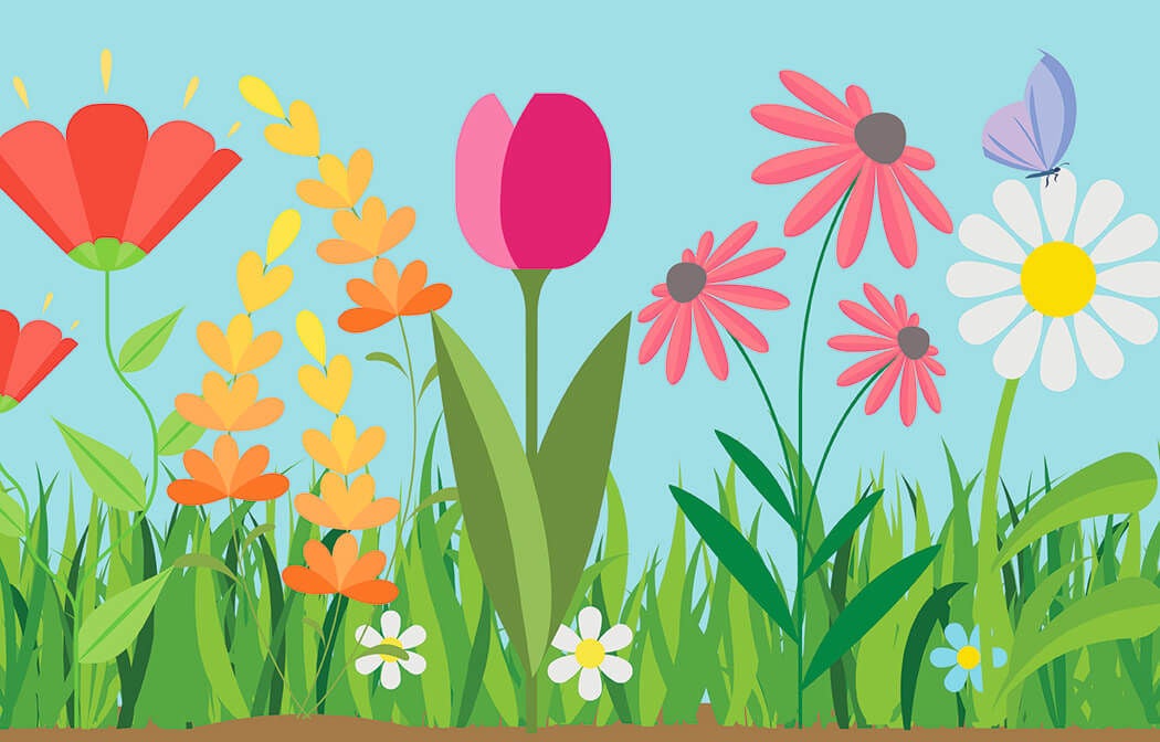 aerie Gift Card Giftcards com - 64ee24781dcd 