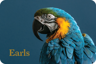 Shop Earls Restaurants eGift Card (EN Version) at GiftCards.ca
