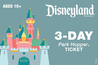 3-Day Park Hopper Ticket Ages 10+ $505