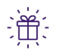 present icon